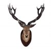 Deer Head (Wall Mounted)