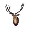 Deer Head (Wall Mounted)