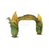 Corn Archway 1