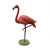 Flamingo (Head Up)
