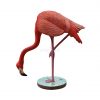 Flamingo (Head Down)