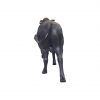 Rodeo Bull 240 Cm