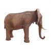 Adult Standing African Elephant Trunk Down