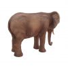 Adult Standing African Elephant Trunk Down
