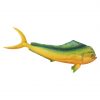 Dolphin Fish (Mahi Mahi) 11ft
