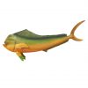 Dolphin Fish (Mahi Mahi) 11ft