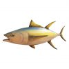 Yellowfin Tuna 11ft