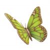 Big Green Butterfly
