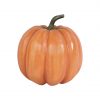 Pumpkin 80 Cm