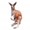 Life Size Kangaroo with Joey
