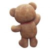 Teddy Bear – Rental