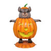 Pumpkin Mouse – Rental