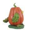Pumpkin Hen