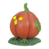 Pumpkin Chick