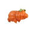 Pumpkin Pig