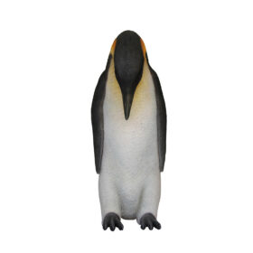 Male Penguin