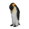 Male Penguin – Rental