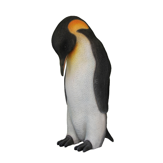 Male Penguin