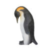 Male Penguin – Rental